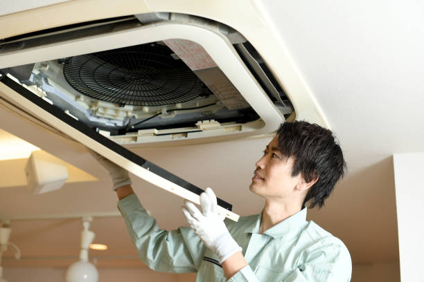 Best Affordable Air Duct Cleaning  in Douglas, MI